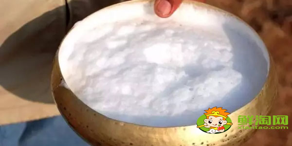 生产骆驼奶的品牌有哪几个,现市面上骆驼奶各品牌的价格