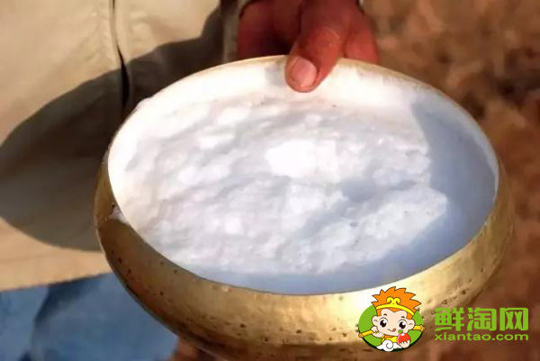 喝骆驼奶会发胖吗,骆驼奶粉什么人不能喝