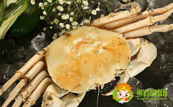 假帝王蟹叫什么名,长得像帝王蟹的小螃蟹