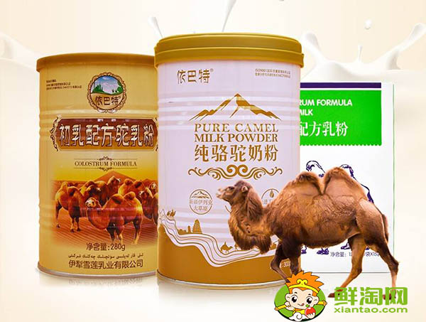 驼奶的十大好处,女人喝骆驼奶的好处