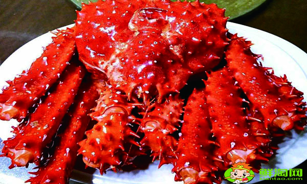 世界最大的帝王蟹有多大,帝王蟹产地哪里最好吃