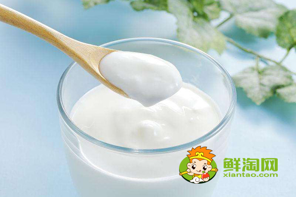 骆驼奶能做酸奶吗,骆驼酸奶怎么做