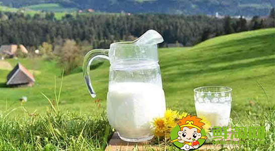 骆驼奶每天什么时候喝,骆驼奶什么时候喝最好