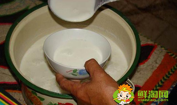 骆驼奶粉一天喝几次好,骆驼奶粉一次喝多少克