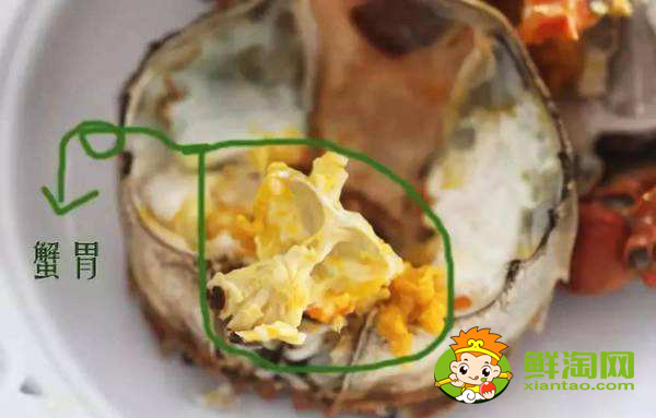螃蟹哪里不能吃高清图,螃蟹的吃法剥法图解