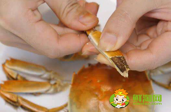 螃蟹哪里不能吃高清图,螃蟹的吃法剥法图解
