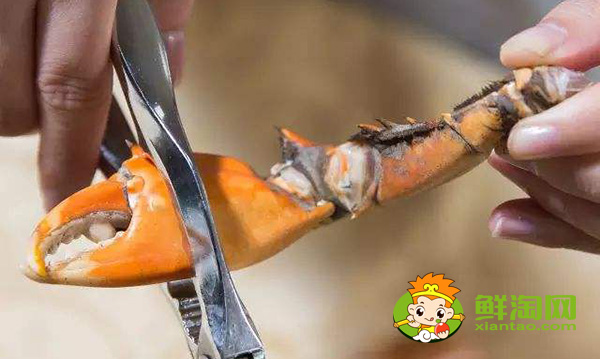 螃蟹哪里不能吃高清图,螃蟹的吃法剥法图解