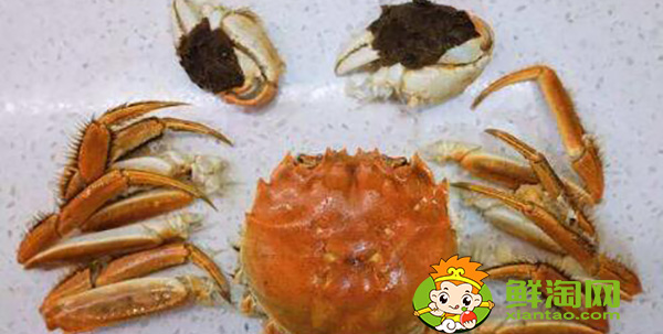香辣大闸蟹的做法,怎么样烧大闸蟹不掉腿