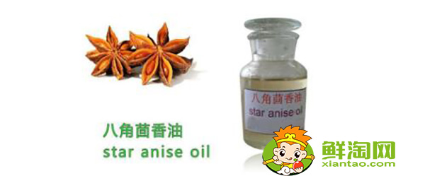 八角茴香油是中药吗,八角油提炼方法