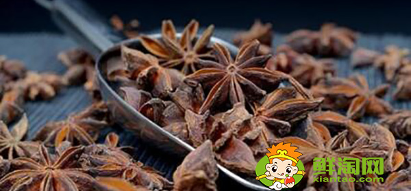 八角茴香油是中药吗,八角油提炼方法