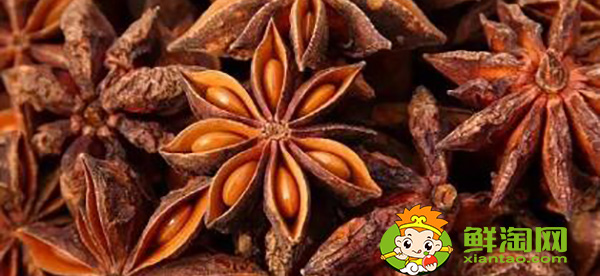 八角茴香油是中药吗,八角油提炼方法