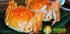阳澄湖大闸蟹上市季节,阳澄湖大闸蟹什么时候最好吃
