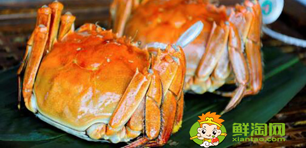 阳澄湖大闸蟹上市季节,阳澄湖大闸蟹什么时候最好吃