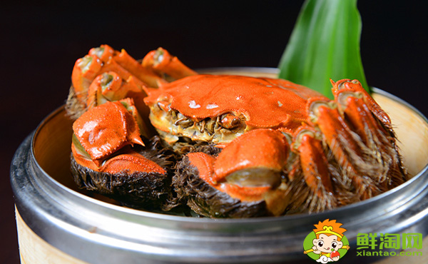 大闸蟹死了能不能吃了,大闸蟹怎么保存才不死