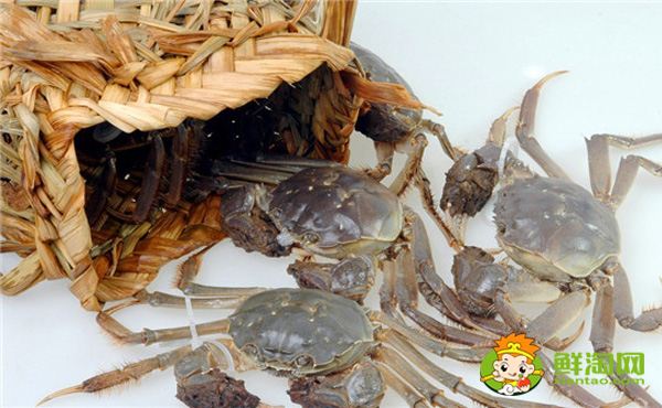 大闸蟹死了能不能吃了,大闸蟹怎么保存才不死