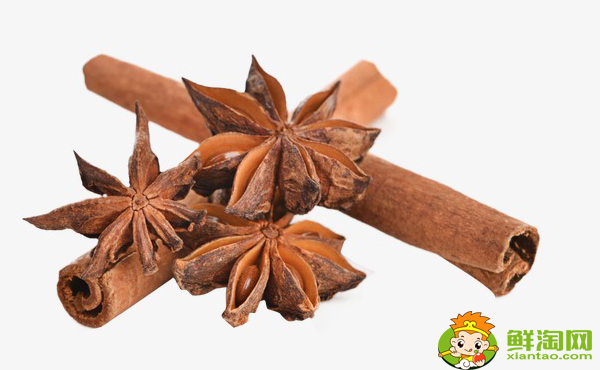 八角的功效与作用禁忌,假八角有什么危害