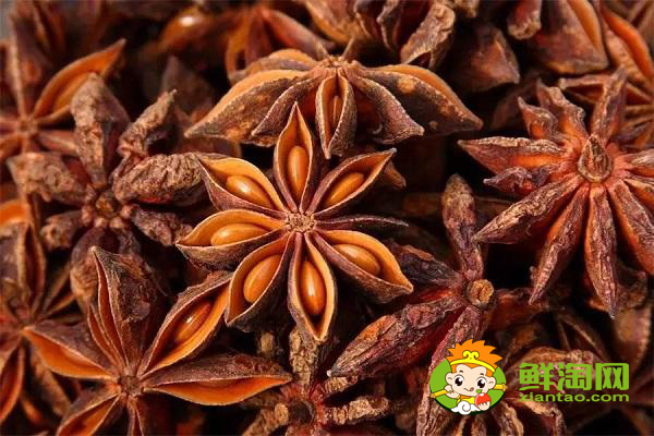 和八角味道一样的香料是什么,毒八角和大料的区别