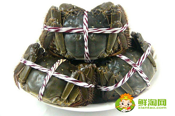 大闸蟹为什么叫大闸蟹,阳澄湖大闸蟹和洪泽湖大闸蟹的区别