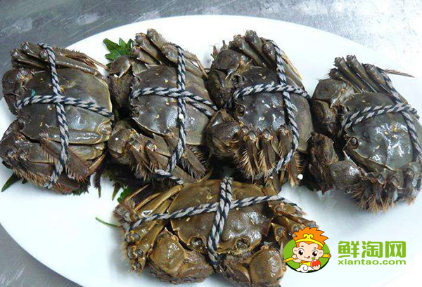 大闸蟹为什么叫大闸蟹,阳澄湖大闸蟹和洪泽湖大闸蟹的区别