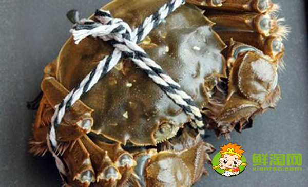 武汉梁子湖大闸蟹什么时候上市,阳澄湖大闸蟹和梁子湖大闸蟹有什么区别