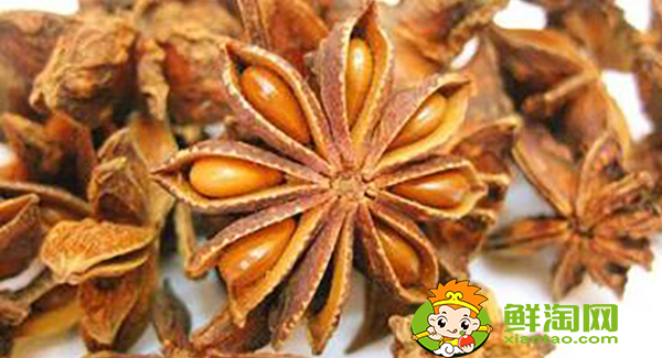 八角茴香什么时候采摘,八角茴香油怎么样