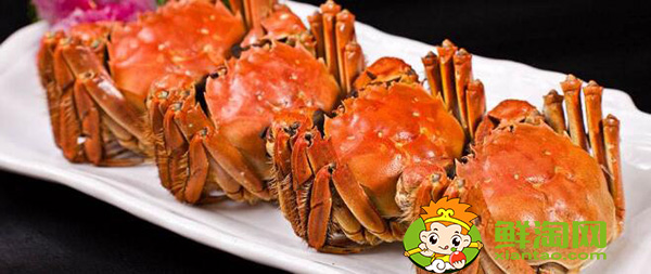 阳澄湖大闸蟹为什么贵,梁子湖大闸蟹和阳澄湖大闸蟹哪个好