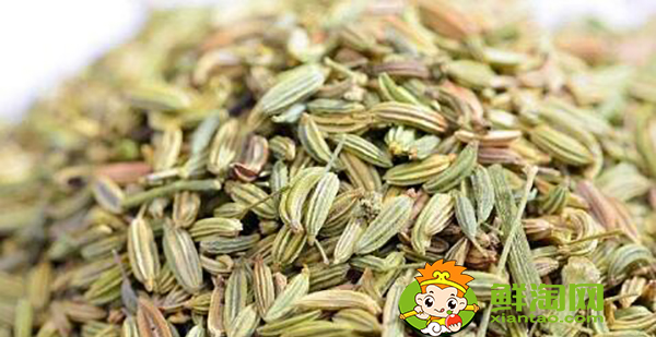 八角茴香怎么挑选,小茴香和八角茴香的区别