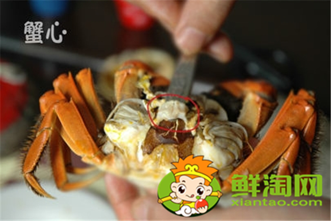 大闸蟹怎么吃新手,大闸蟹不能吃的部位图