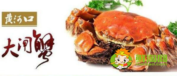 黄河口大闸蟹什么时候有,黄河大闸蟹产地在哪里