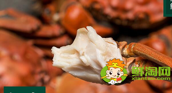 黄河口大闸蟹什么时候有,黄河大闸蟹产地在哪里