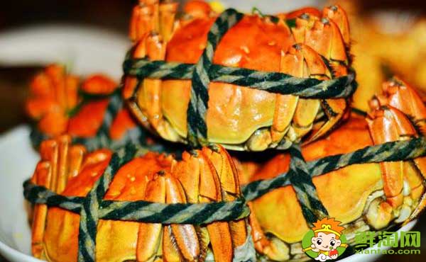 大闸蟹多少钱一斤,最佳吃大闸蟹的季节