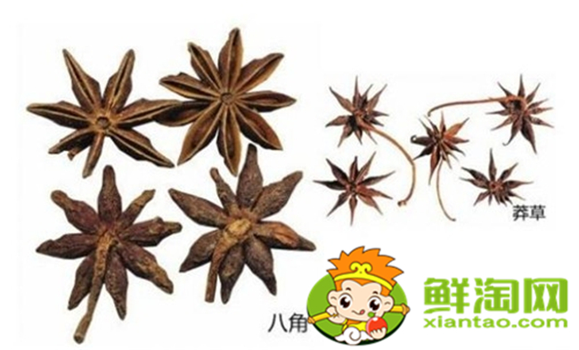 怎样辨别八角是没有用过的,如何鉴别八角品质