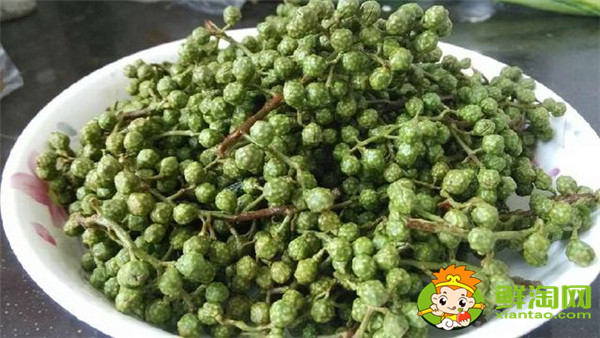 青花椒与藤椒区别,藤椒和青花椒哪个麻