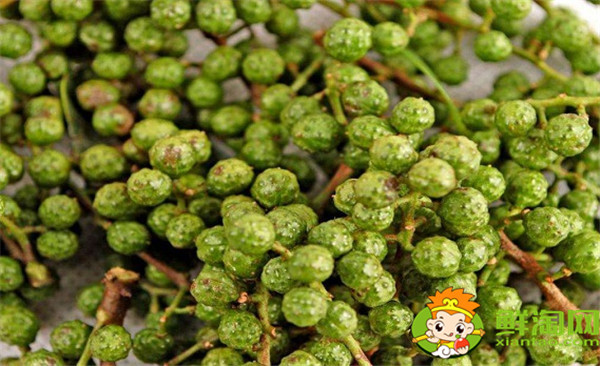 青花椒与藤椒区别,藤椒和青花椒哪个麻