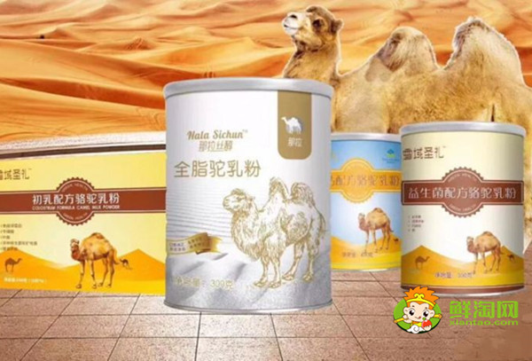 正宗的骆驼奶粉多少钱一斤,哪里能买到正宗的骆驼奶粉