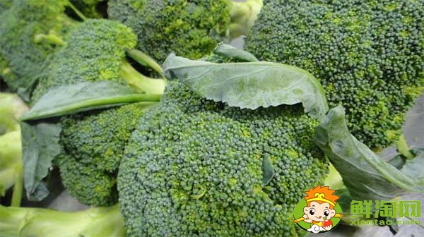 西兰花煮黄了还能吃吗,西兰花煮多久能熟