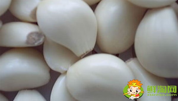 金乡大蒜最新价格,一九年下半年大蒜行情