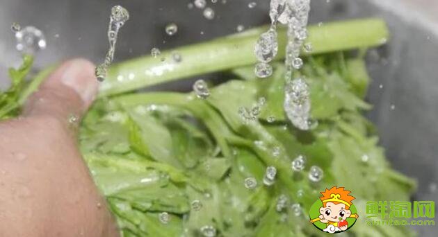 洗过的芹菜怎么保存,洗好的芹菜能放多久