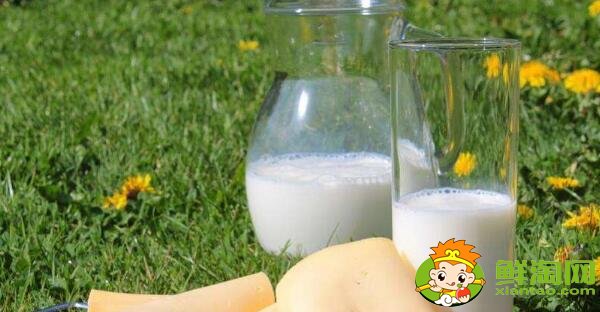 喝牛奶的最佳时间是早上还是晚上,喝牛奶的好处和坏处分别是什么
