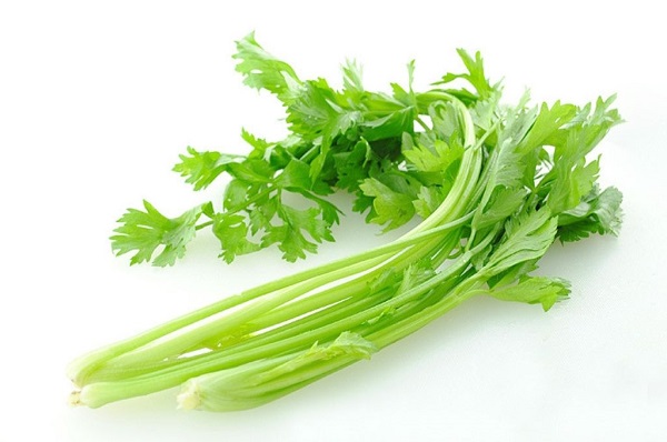 芹菜放冰箱软了还能吃吗,熟芹菜放冰箱能放几天