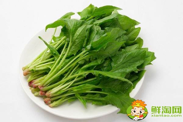 菠菜吃叶子还是茎,菠菜的营养都在根上吗