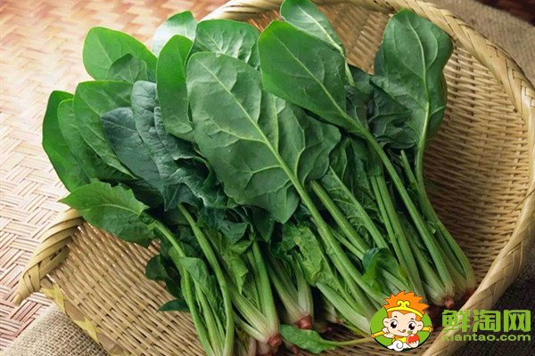 吃完菠菜要不要刷牙,为什么菠菜吃起来很涩口