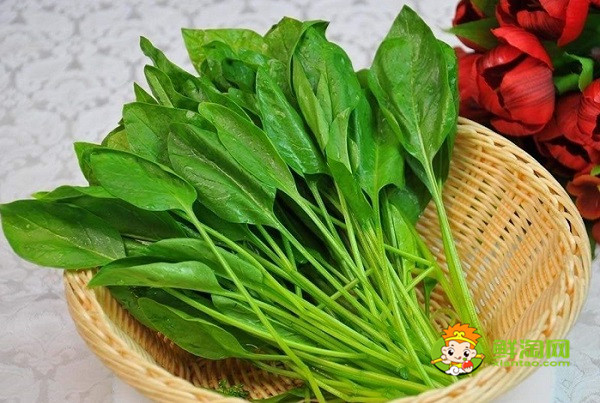 豆腐和菠菜可以一起炖着吃吗,菠菜的最佳搭配原来是牛肉