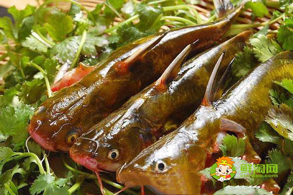 豆腐和菠菜可以一起炖着吃吗,菠菜的最佳搭配原来是牛肉