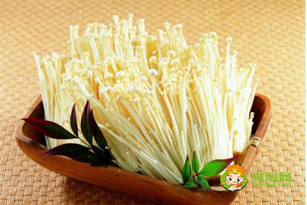 豆腐和菠菜可以一起炖着吃吗,菠菜的最佳搭配原来是牛肉