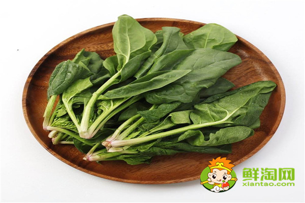 为什么不能经常吃菠菜,什么时候不能吃菠菜