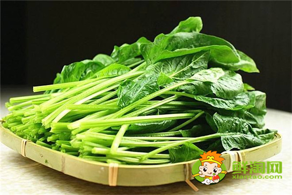 没有冰箱如何保存菠菜,新鲜菠菜洗完怎么保存