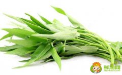 空心菜怎么择菜,空心菜为什么不用