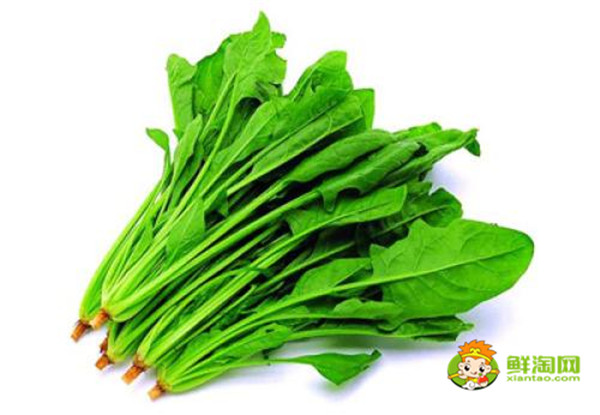 隔夜的菠菜汤能喝吗,孕妇能吃菠菜吗