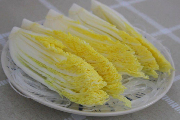 娃娃菜是白菜吗,两者的区别非常明显